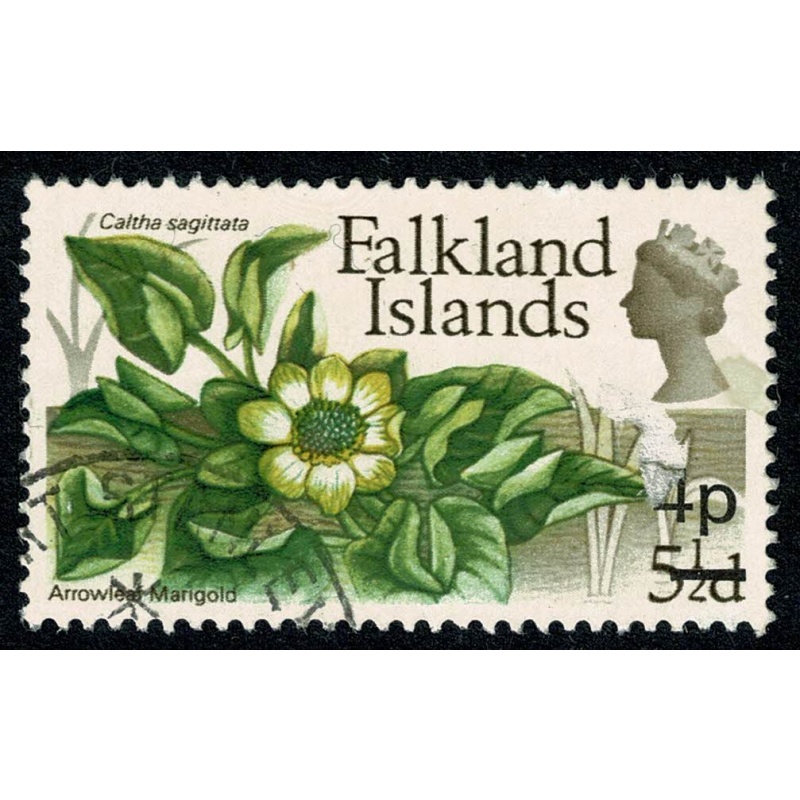 Falkland Islands. 1971 Flowers. Decimal Surcharge issue. 4p on 5½d Wmk upright. SG 269. Fine Used