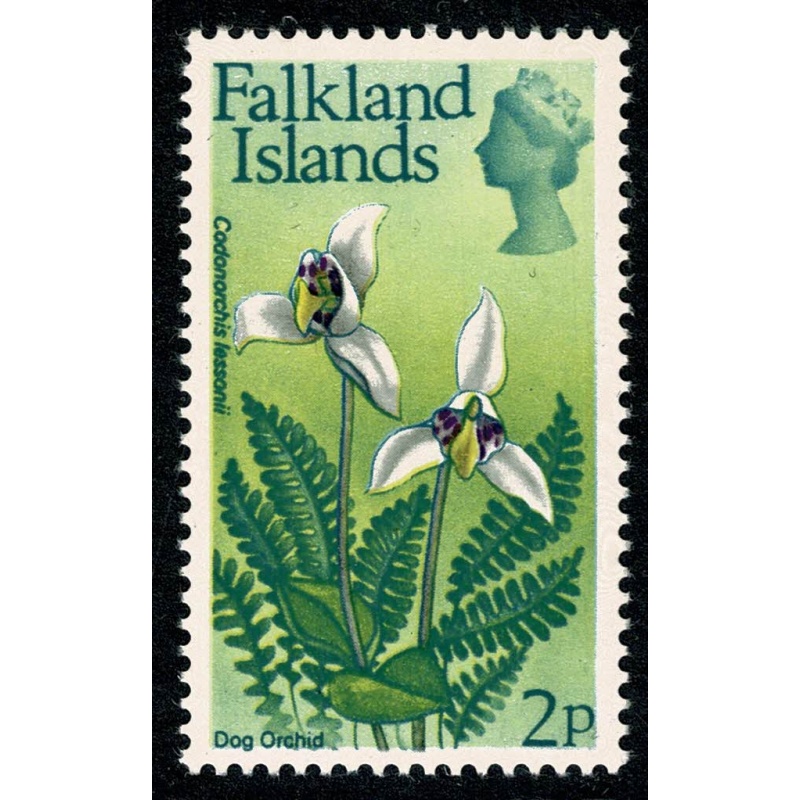 Falkland Islands. 1972 Flowers. Decimal issue. 2p Wmk sideways. SG 279. Unmounted Mint