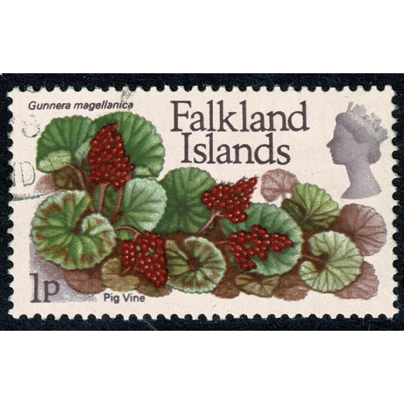 Falkland Islands. 1972 Flowers. Decimal issue. 1p Fine used. Wmk upright. SG 277