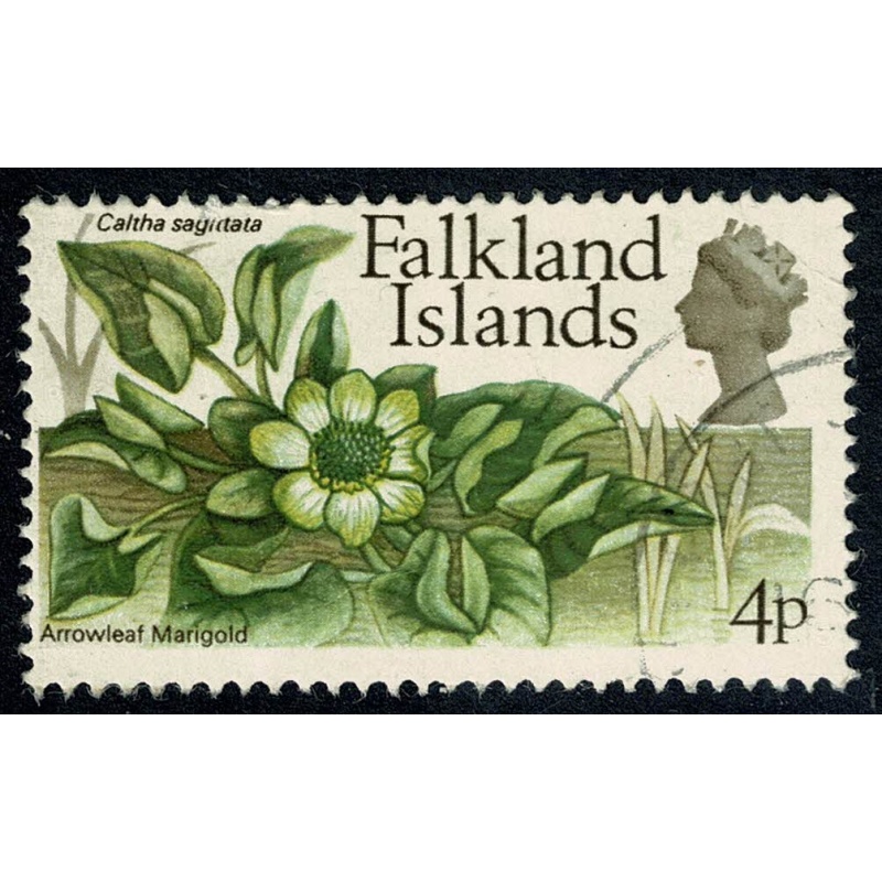 Falkland Islands. 1972 Flowers. Decimal issue. 4p Fine used. Wmk upright. SG 282