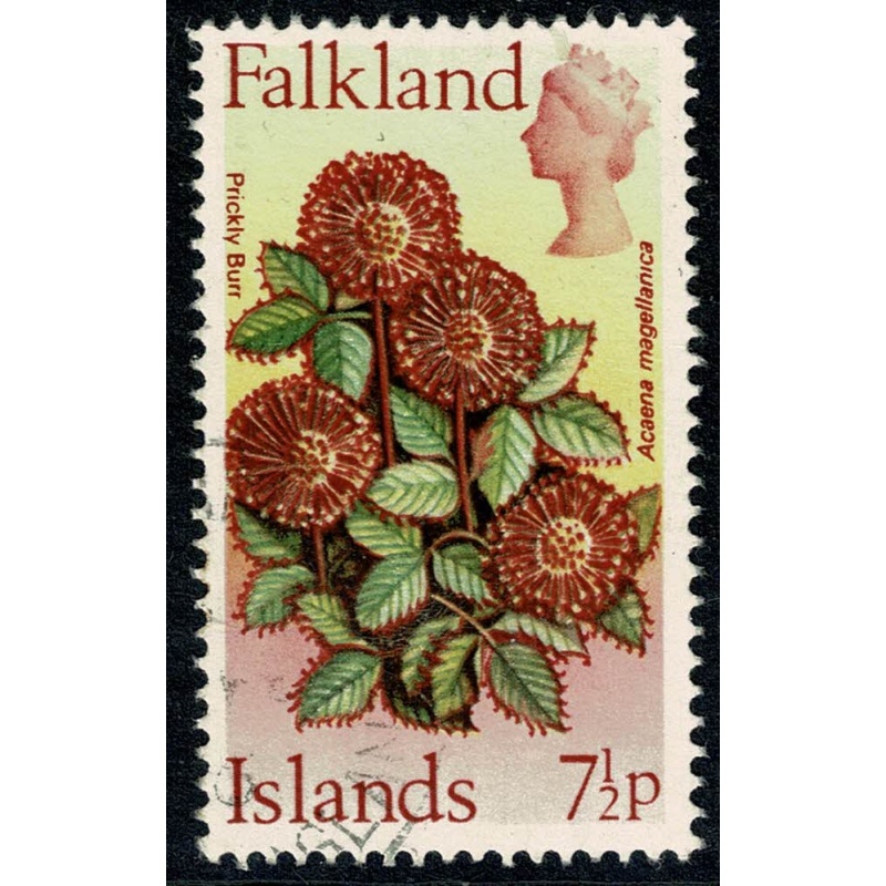 Falkland Islands. 1972 Flowers. Decimal issue. 7½p Fine used. Wmk sideways. SG 285