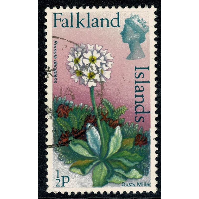 Falkland Islands. 1972 Flowers. Decimal issue. ½p Fine used. Wmk sideways. SG 276