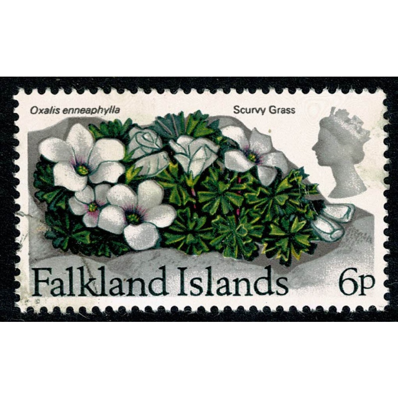 Falkland Islands. 1974 Flowers. Decimal issue. 6p Wmk sideways Crown to Left of CA.  SG 295. Fine Used