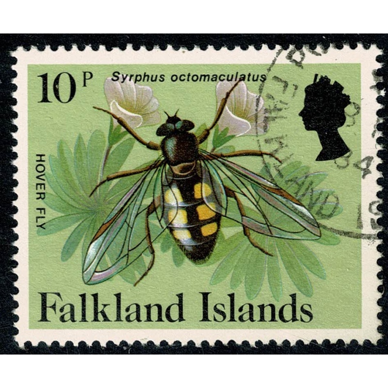 Falkland Islands. 1984-86 Insects and Spiders. 10p Fine used. SG 478A