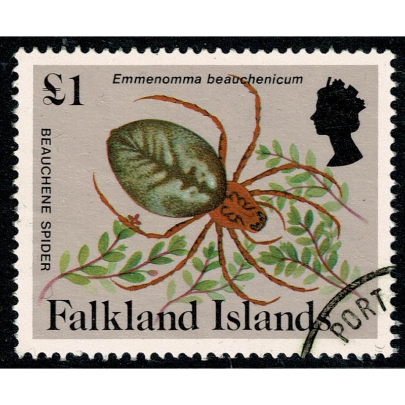 Falkland Islands. 1984-86 Insects and Spiders. £1 Fine used. SG 482A