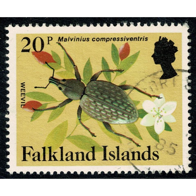 Falkland Islands. 1984-86 Insects and Spiders. 20p Fine used. SG 479A