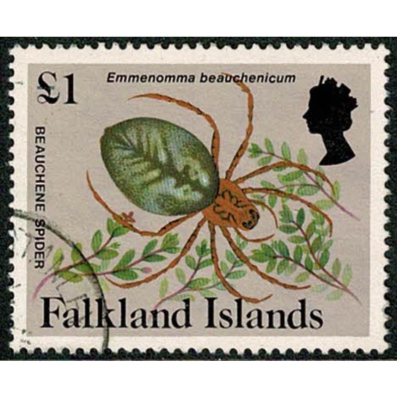 Falkland Islands. 1984-86 Insects and Spiders. £1 Fine used. SG 482A