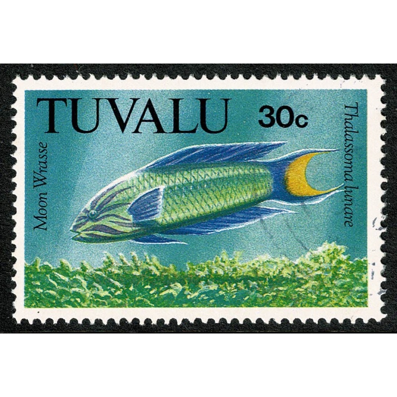 1992 Fish. 30c. Fine used single. SG 636