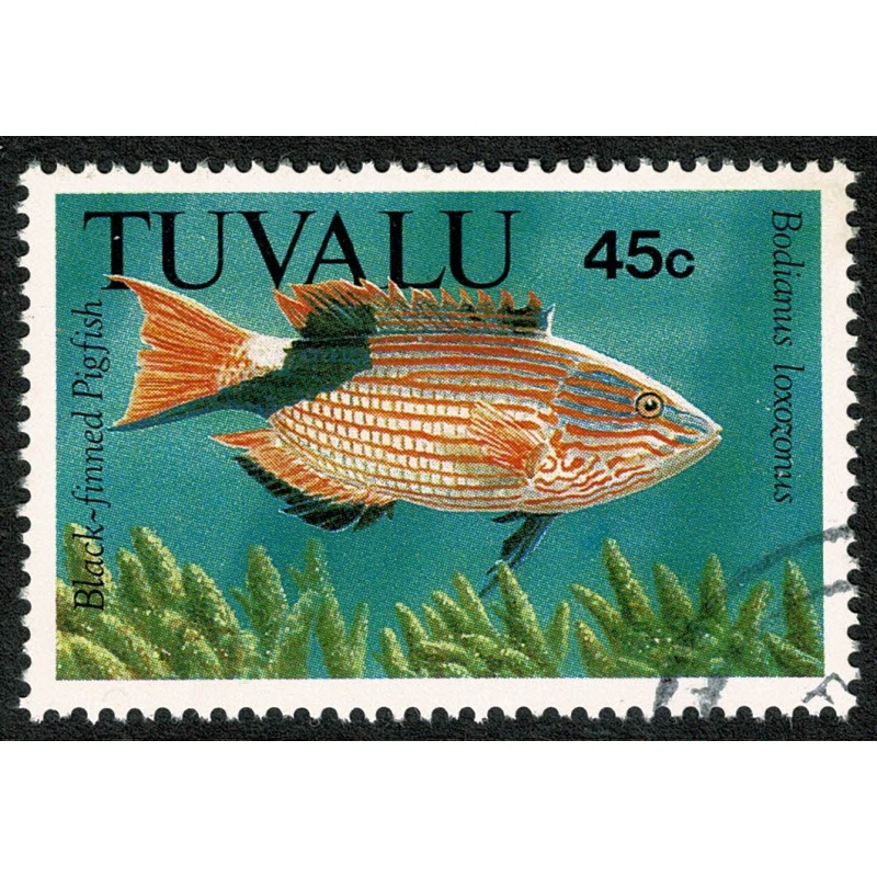 1992 Fish. 45c. Fine used single. SG 639