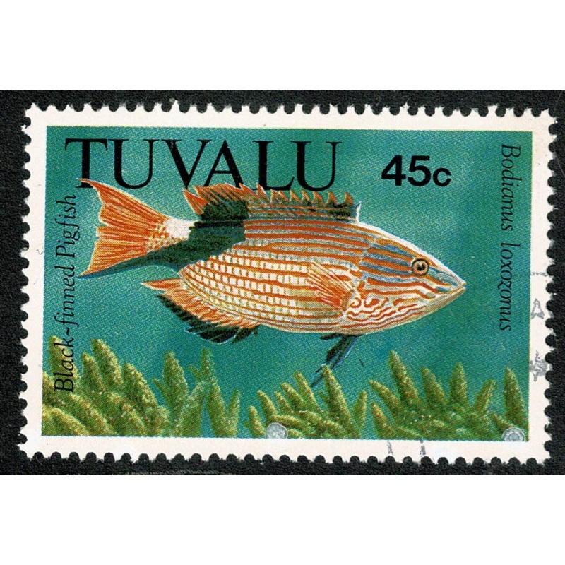 1992 Fish. 45c. Fine used single. SG 639