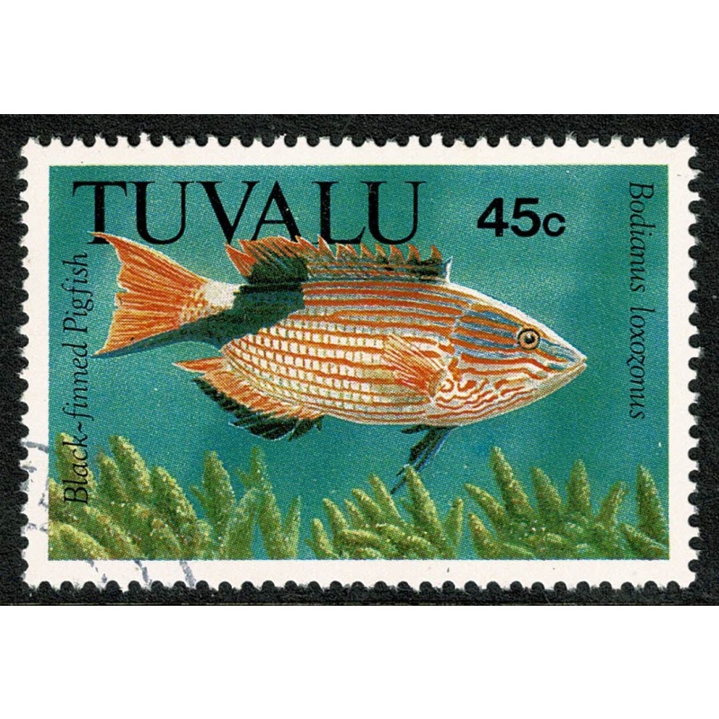 1992 Fish. 45c. Fine used single. SG 639